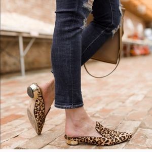 Sam Edelman Augustine Leopard Mules Size 6